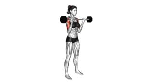 Barbell Drag Curl (female) - Video Exercise Guide & Tips