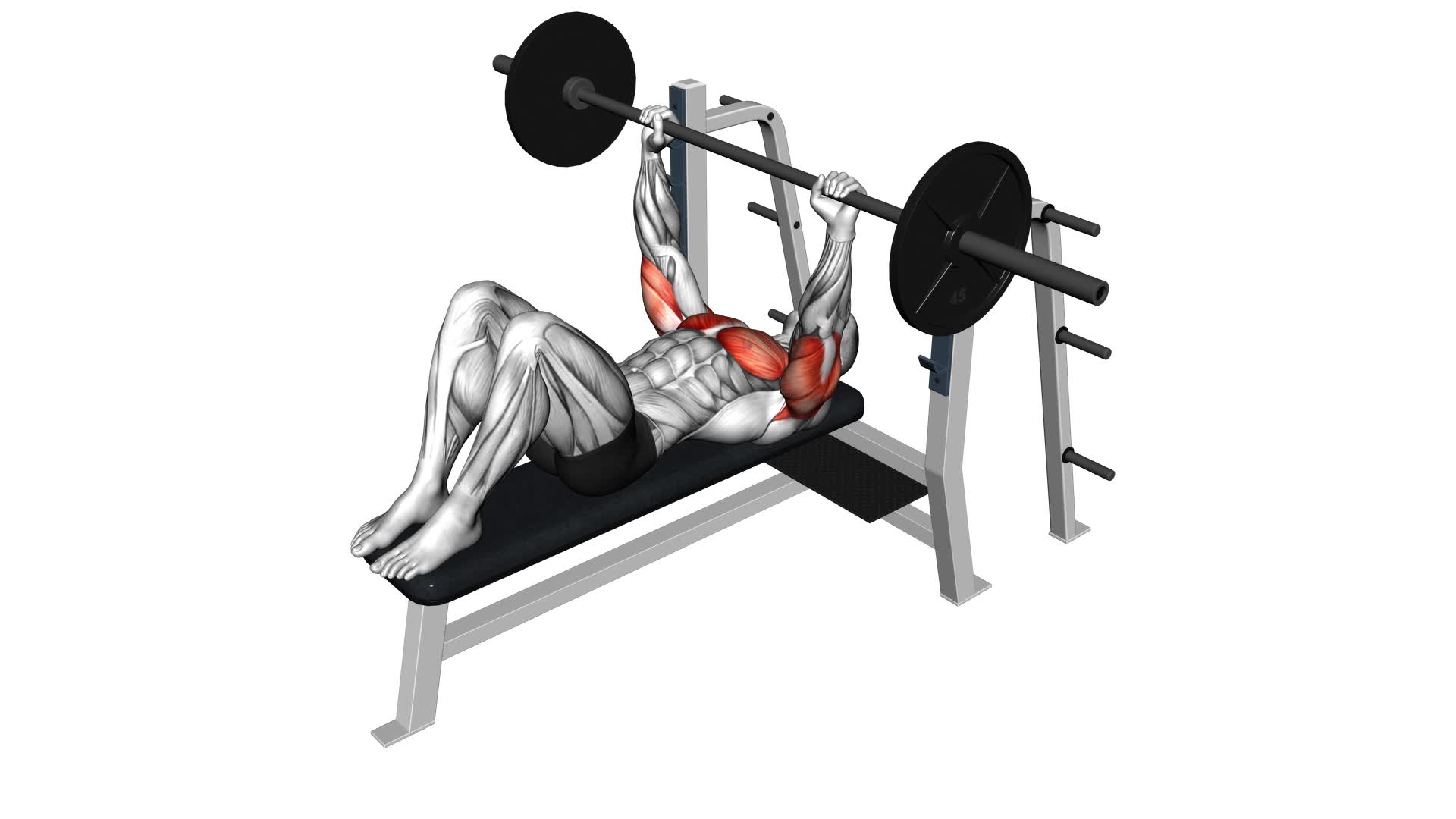 Barbell Feet Flat Bench Press (male) - Video Exercise Guide & Tips
