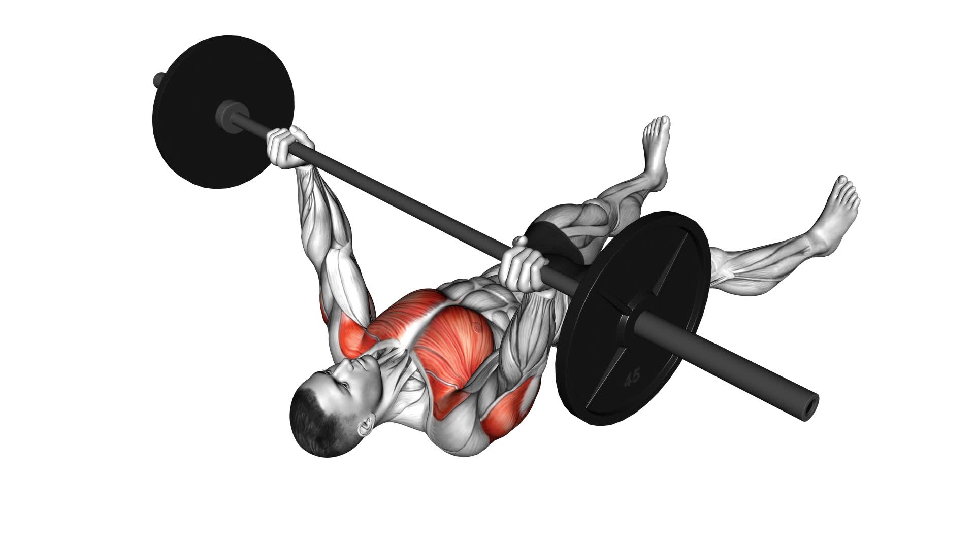 Barbell Floor Chest Press - Video Exercise Guide & Tips