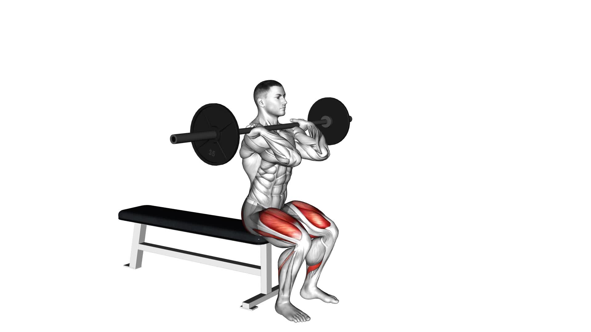 Barbell Front Bench Squat - Video Exercise Guide & Tips