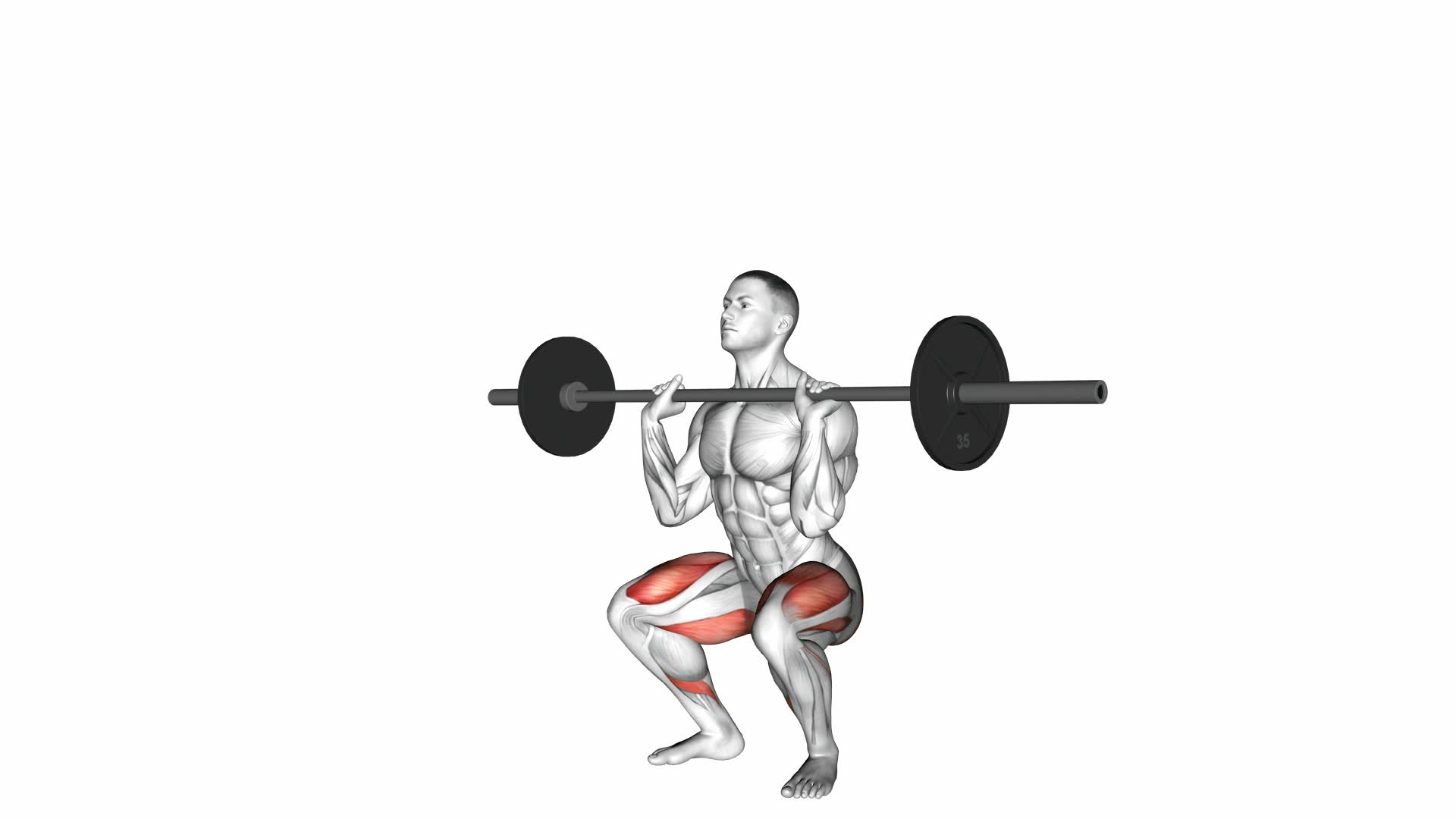 Barbell Front Chest Squat: Ultimate Video Guide & Expert Tips