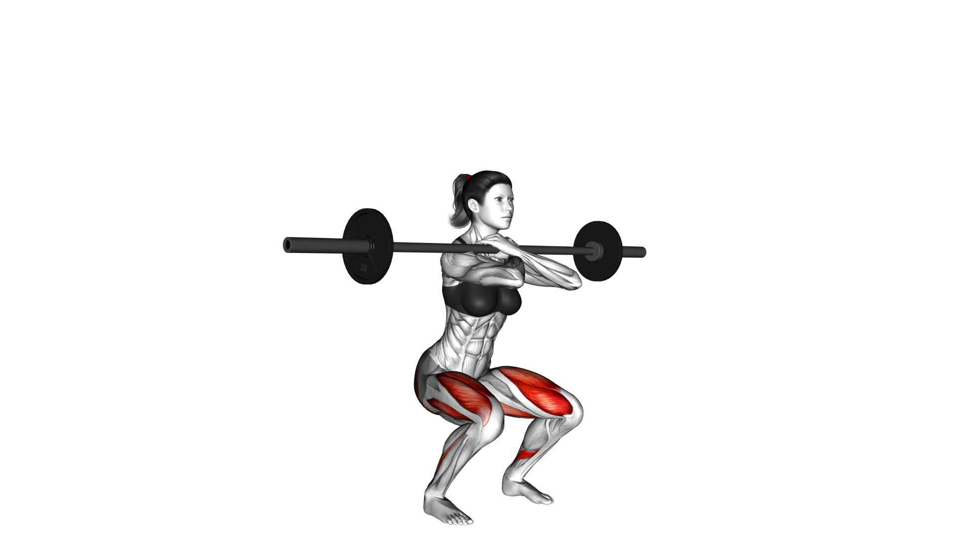 Barbell Front Squat (female) - Video Exercise Guide & Tips