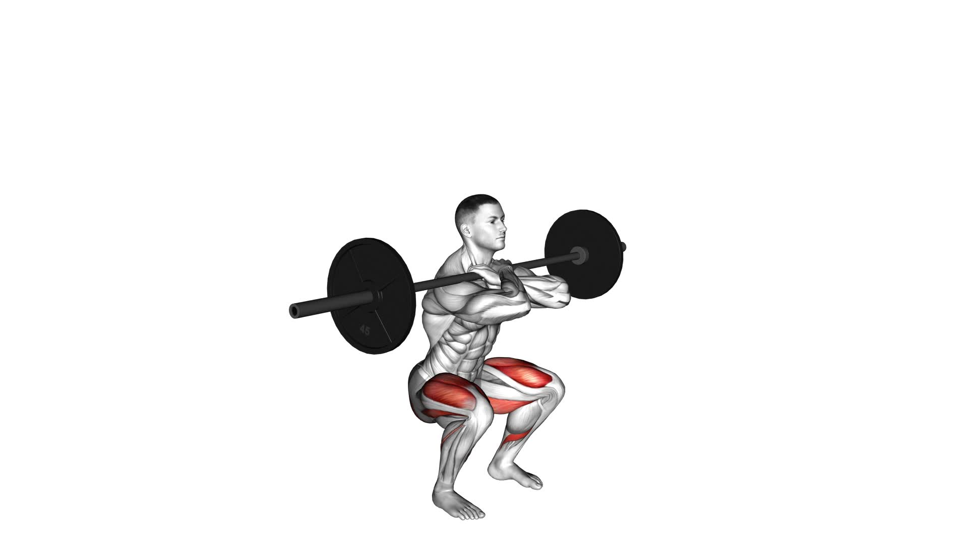 Barbell Front Squat - Video Exercise Guide & Tips