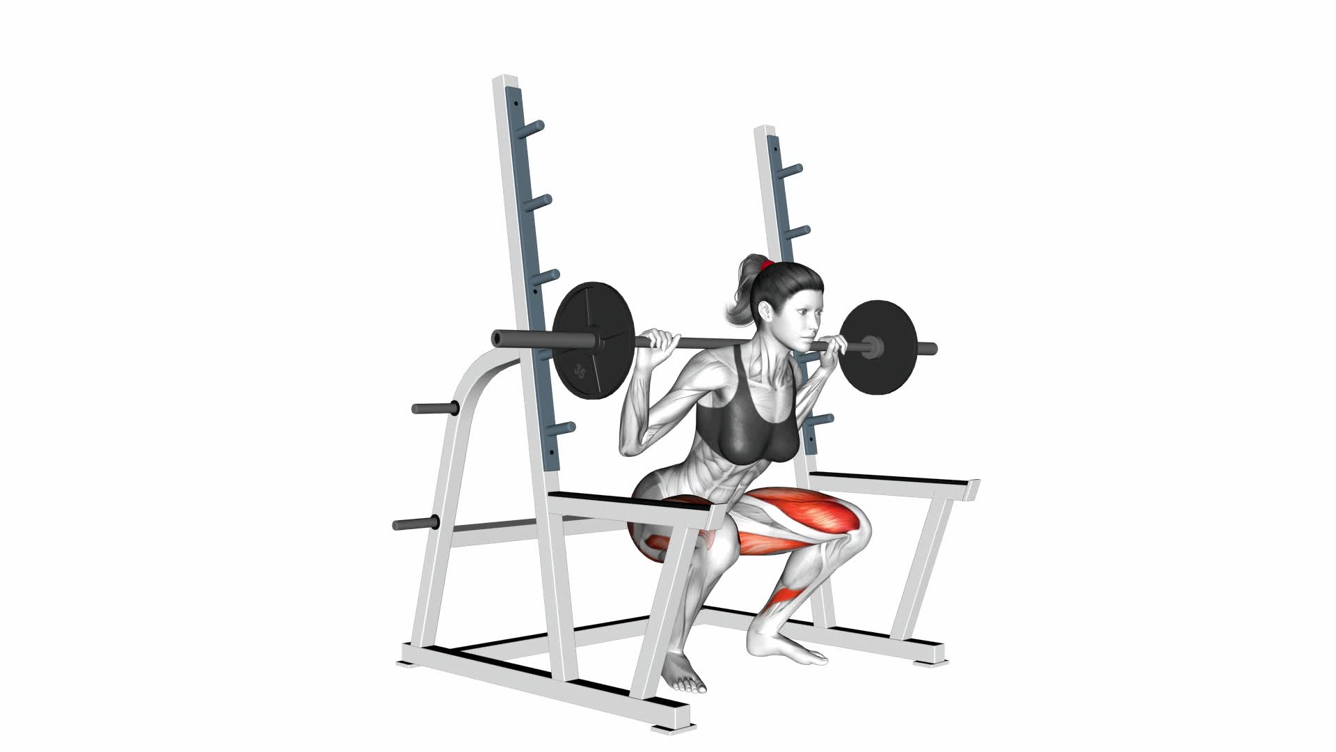 Barbell Full Squat (With Rack) - Video Exercise Guide & Tips