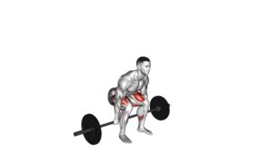 Barbell Hack Squat - Video Exercise Guide & Tips