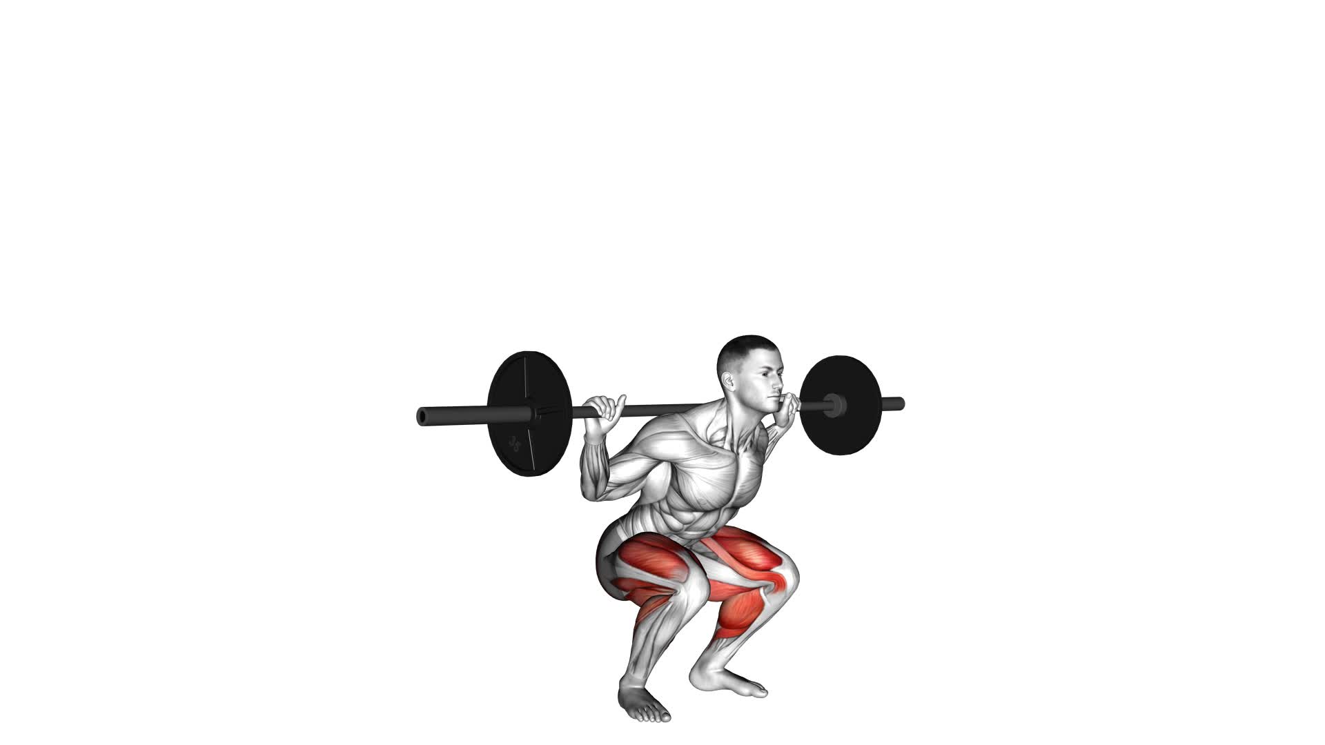 Barbell Jump Squat - Video Exercise Guide & Tips