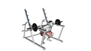 Barbell Low Bar Squat With Rack - Video Exercise Guide & Tips