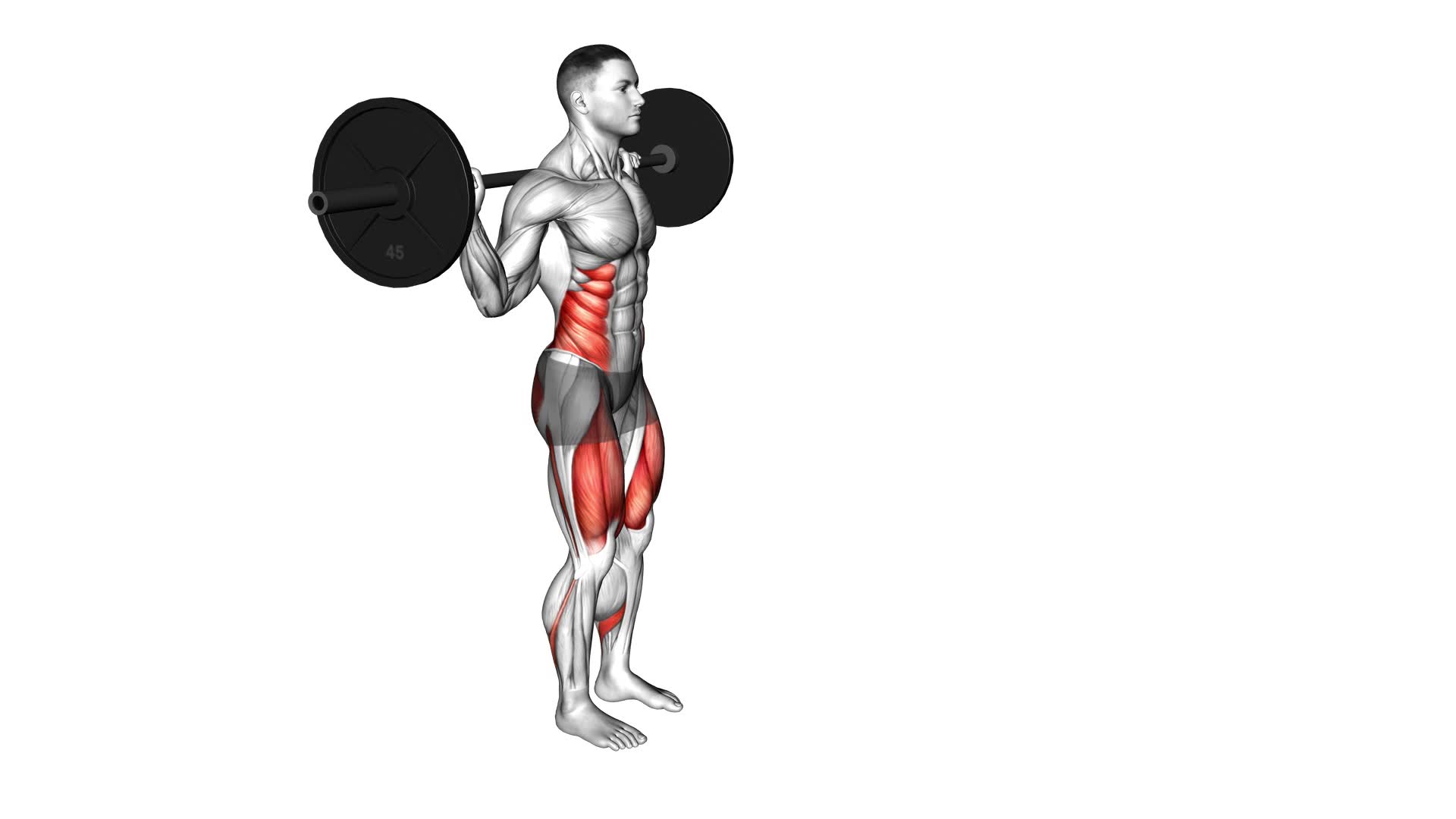 Barbell Lunge Twist (male) - Video Exercise Guide & Tips