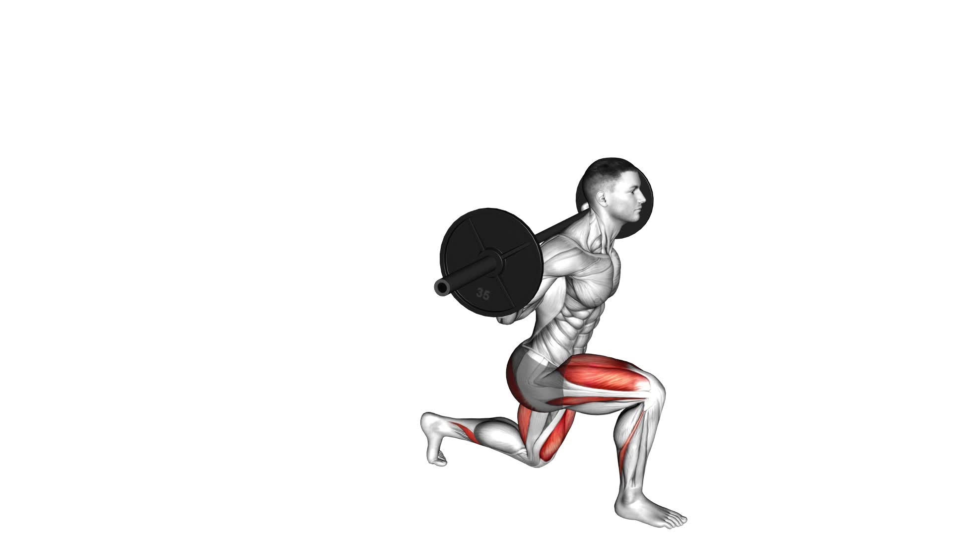 Barbell Lunge - Video Exercise Guide & Tips