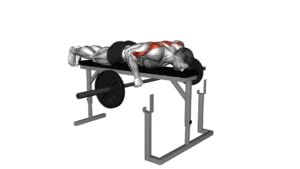 Barbell Lying Row on Rack - Video Exercise Guide & Tips