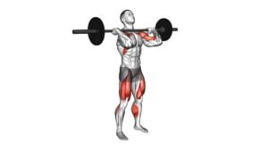 Barbell Muscle Clean - Video Exercise Guide & Tips