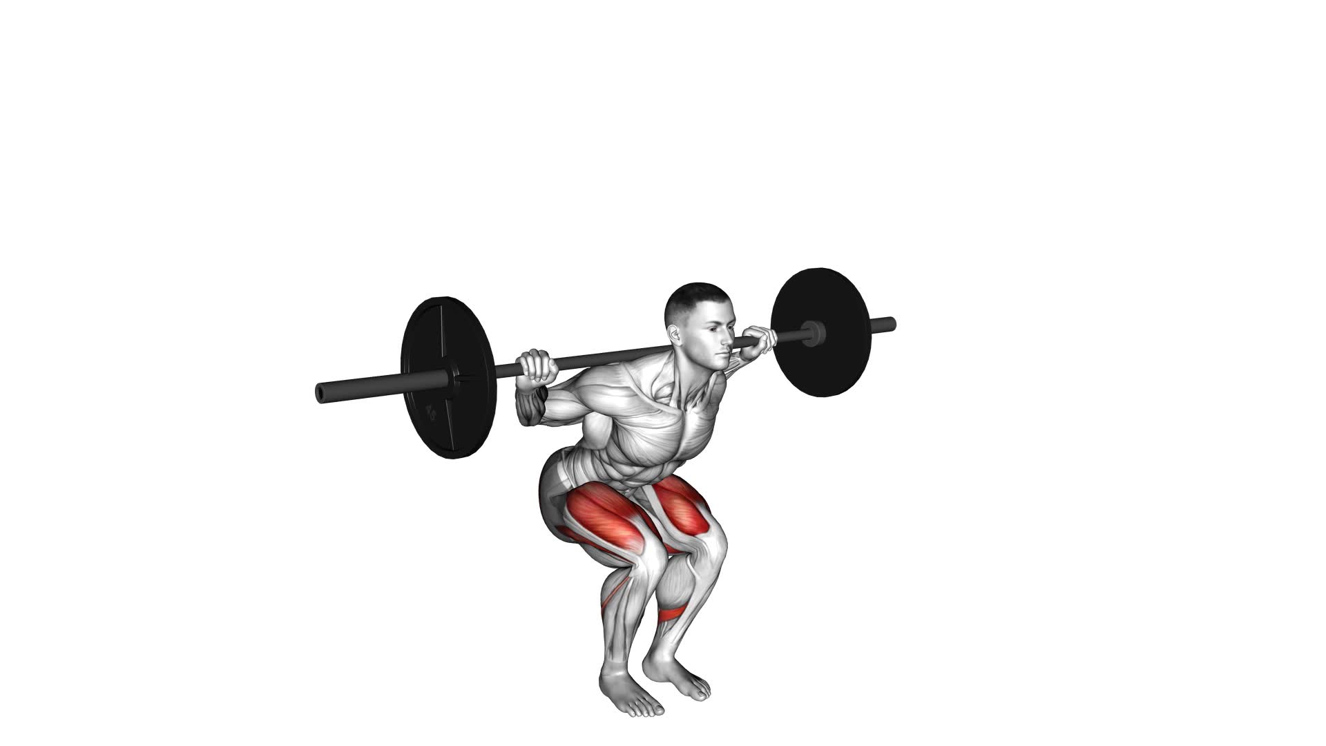 Barbell Narrow Stance Squat (male) - Video Exercise Guide & Tips