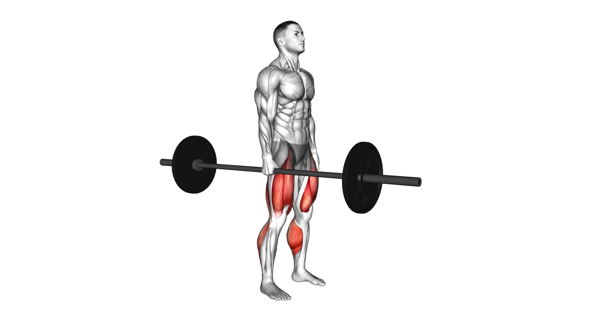 Barbell One Arm Side Deadlift - Video Exercise Guide & Tips