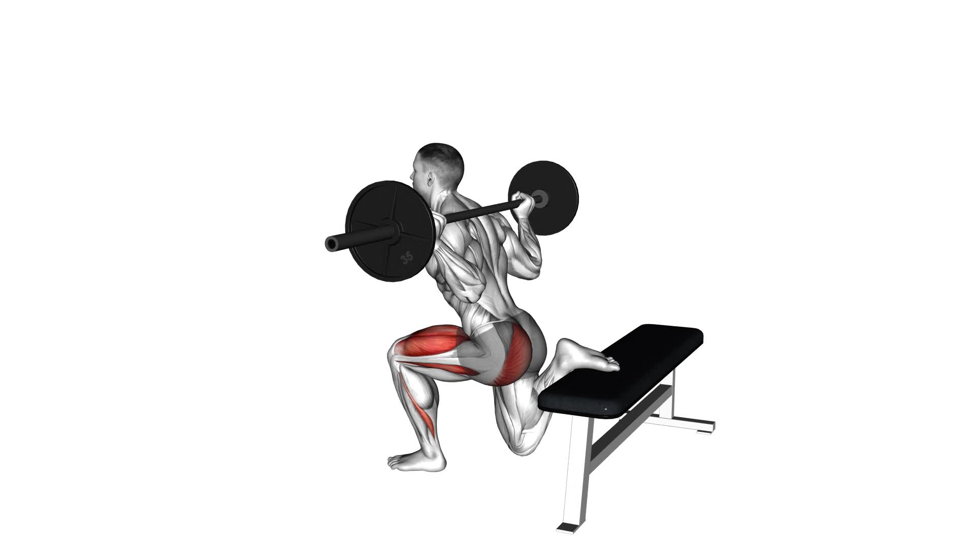 Barbell One Leg Squat - Video Exercise Guide & Tips
