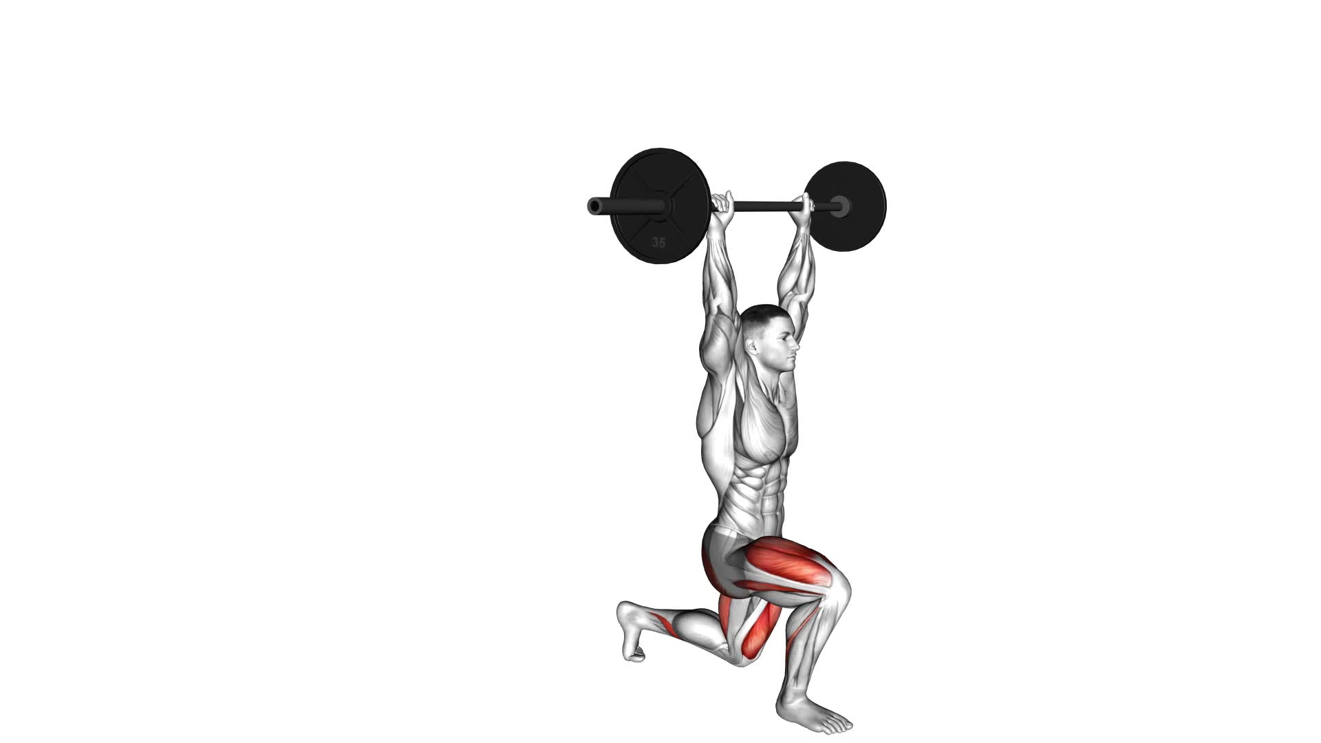 Barbell Overhead Lunge - Video Exercise Guide & Tips