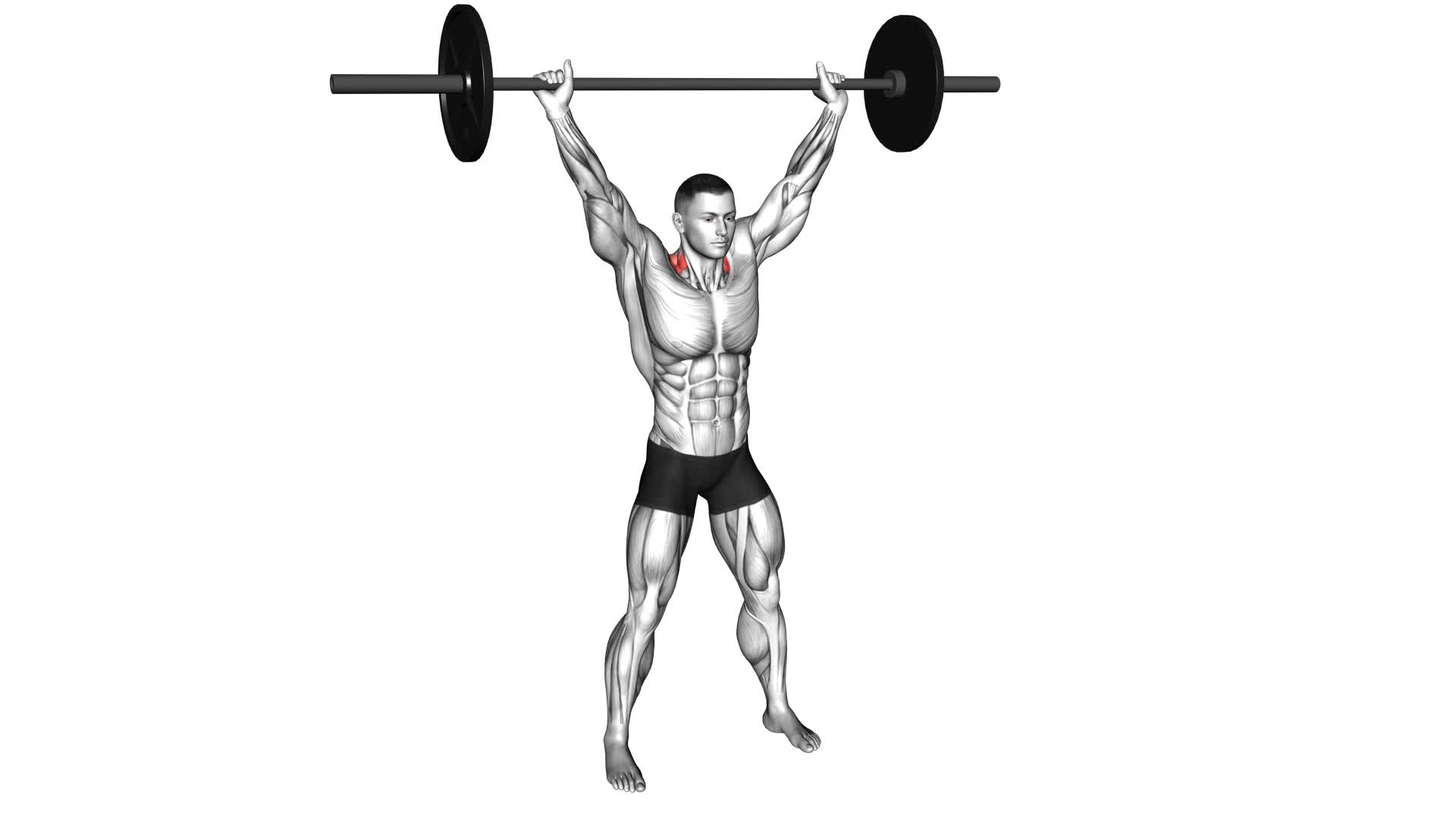 Barbell Overhead Shrug - Video Exercise Guide & Tips