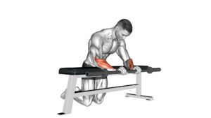 Barbell Palms Down Wrist Curl Over A Bench - Video Exercise Guide & Tips
