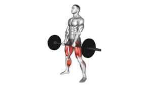 Barbell Paused Sumo Deadlift - Video Exercise Guide & Tips