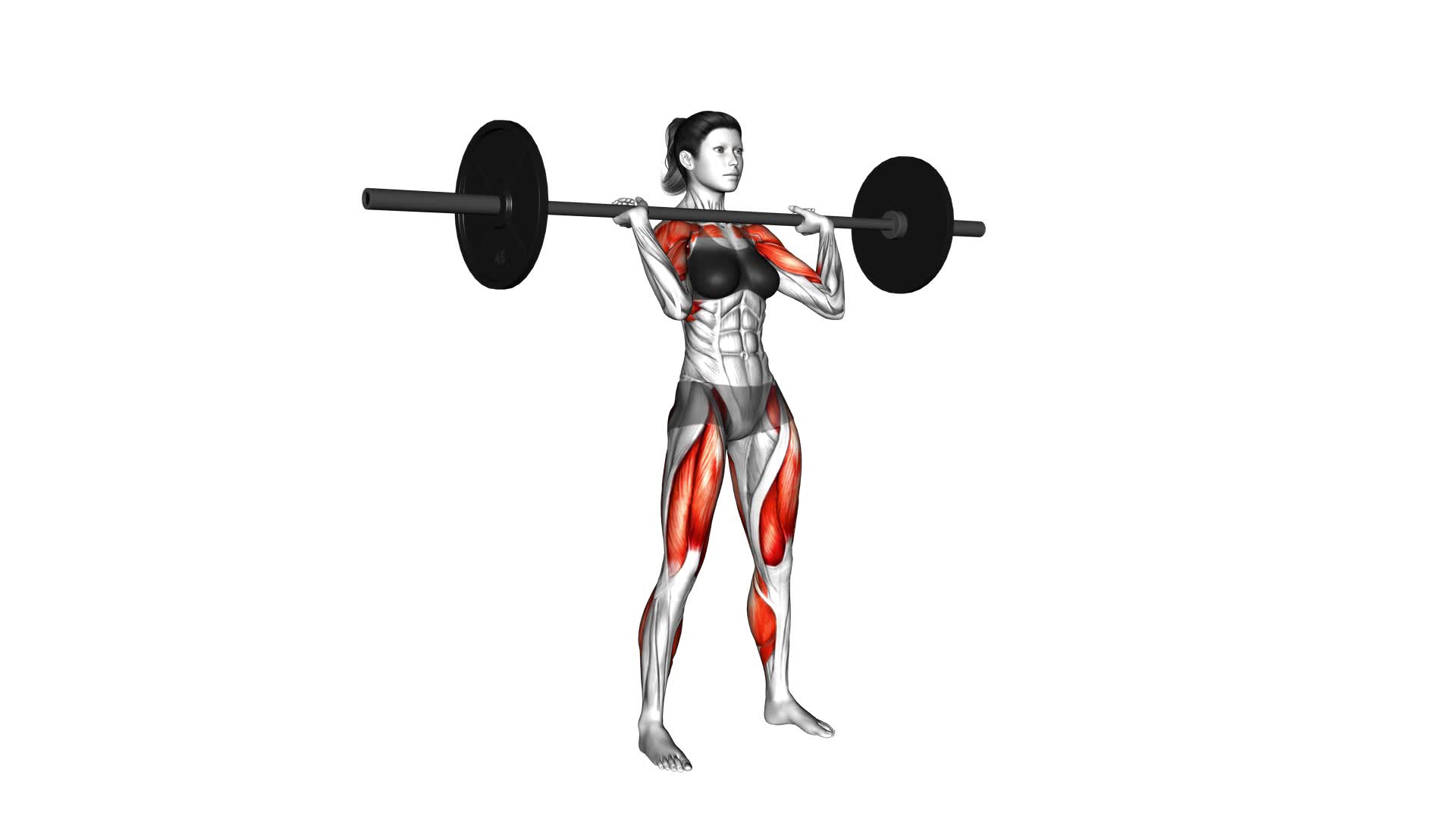 Barbell Power Clean (female) - Video Exercise Guide & Tips