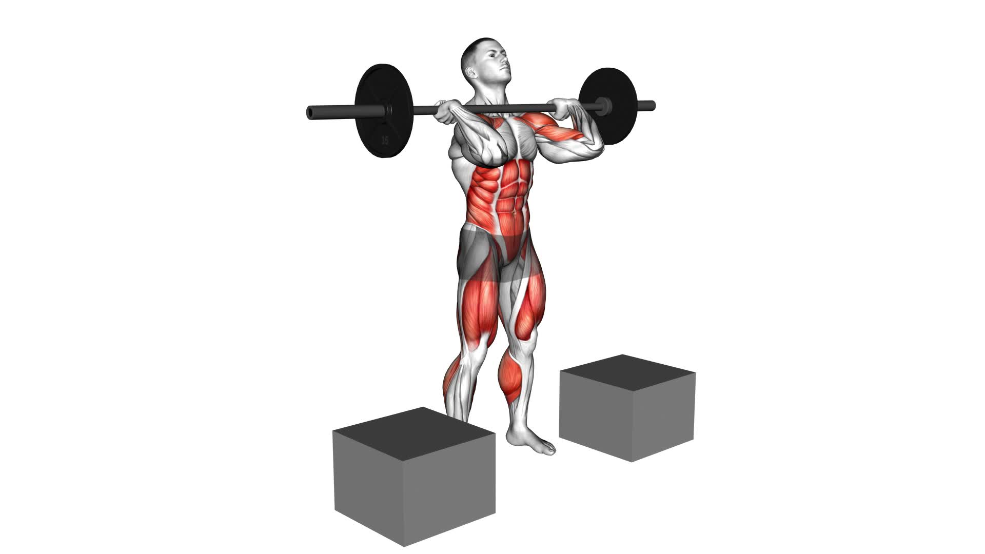 Barbell Power Clean From Blocks - Video Exercise Guide & Tips