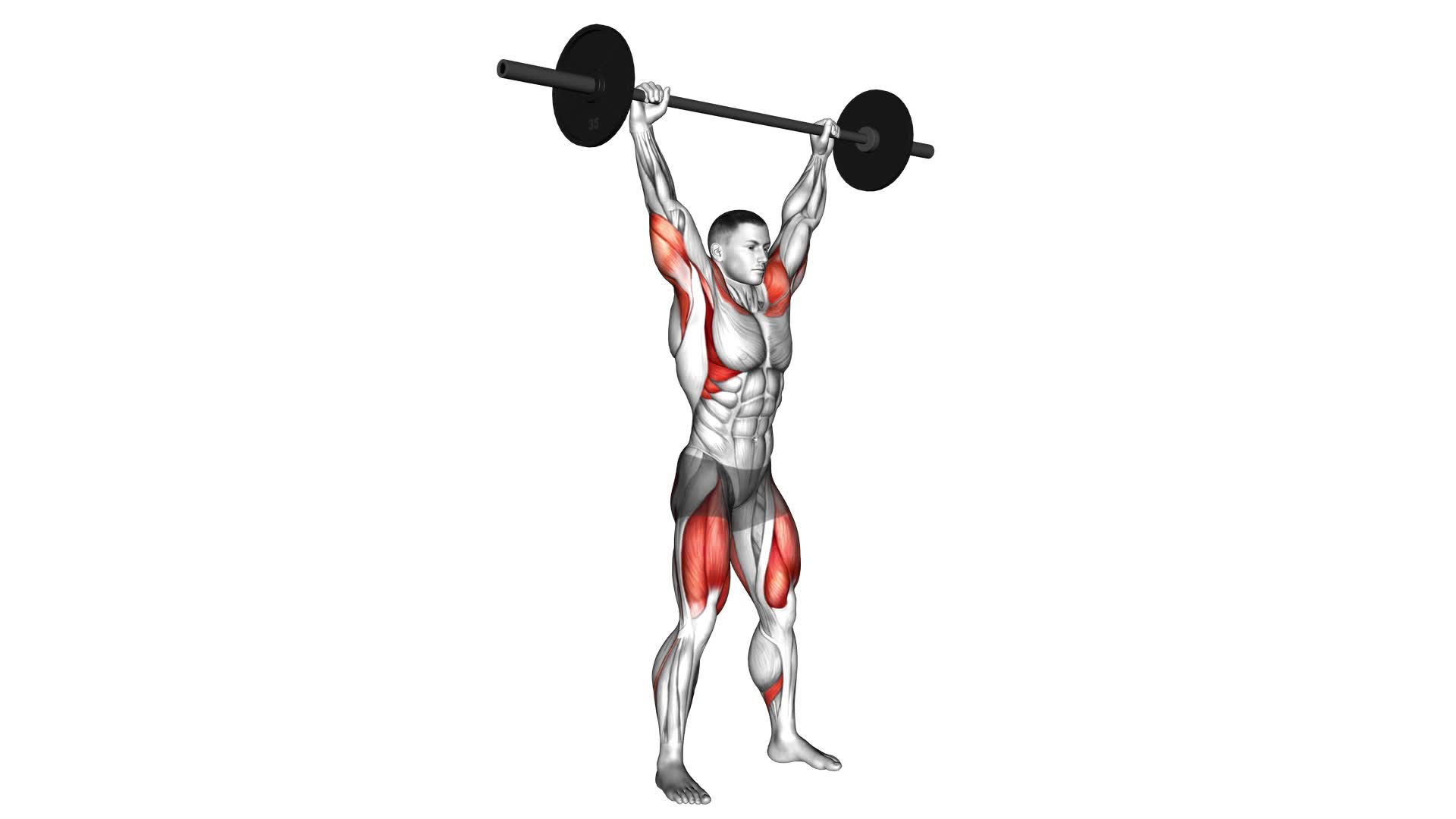 Barbell Power Snatch - Video Exercise Guide & Tips