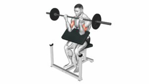 Barbell Preacher Curl - Video Exercise Guide & Tips
