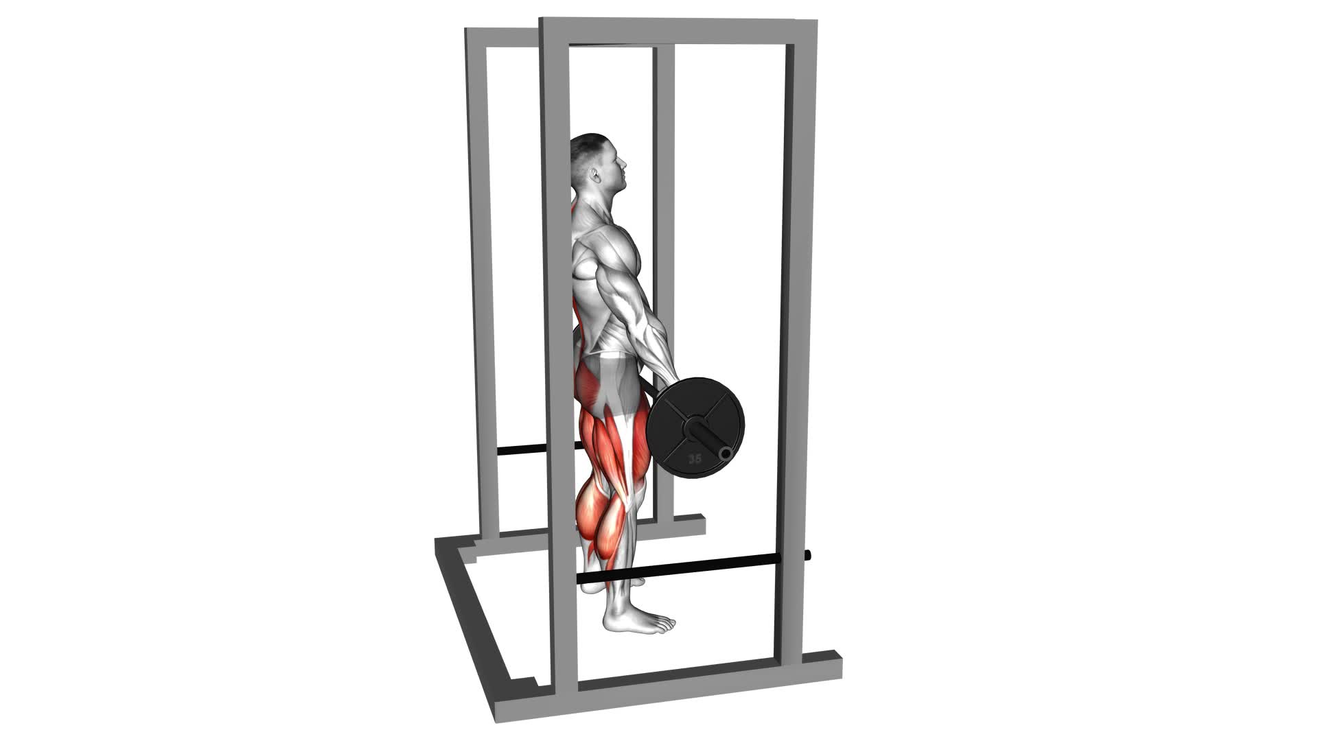 Barbell Rack Pull - Video Exercise Guide & Tips