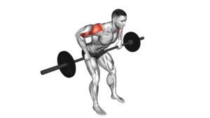 Barbell Rear Delt Row - Video Exercise Guide & Tips