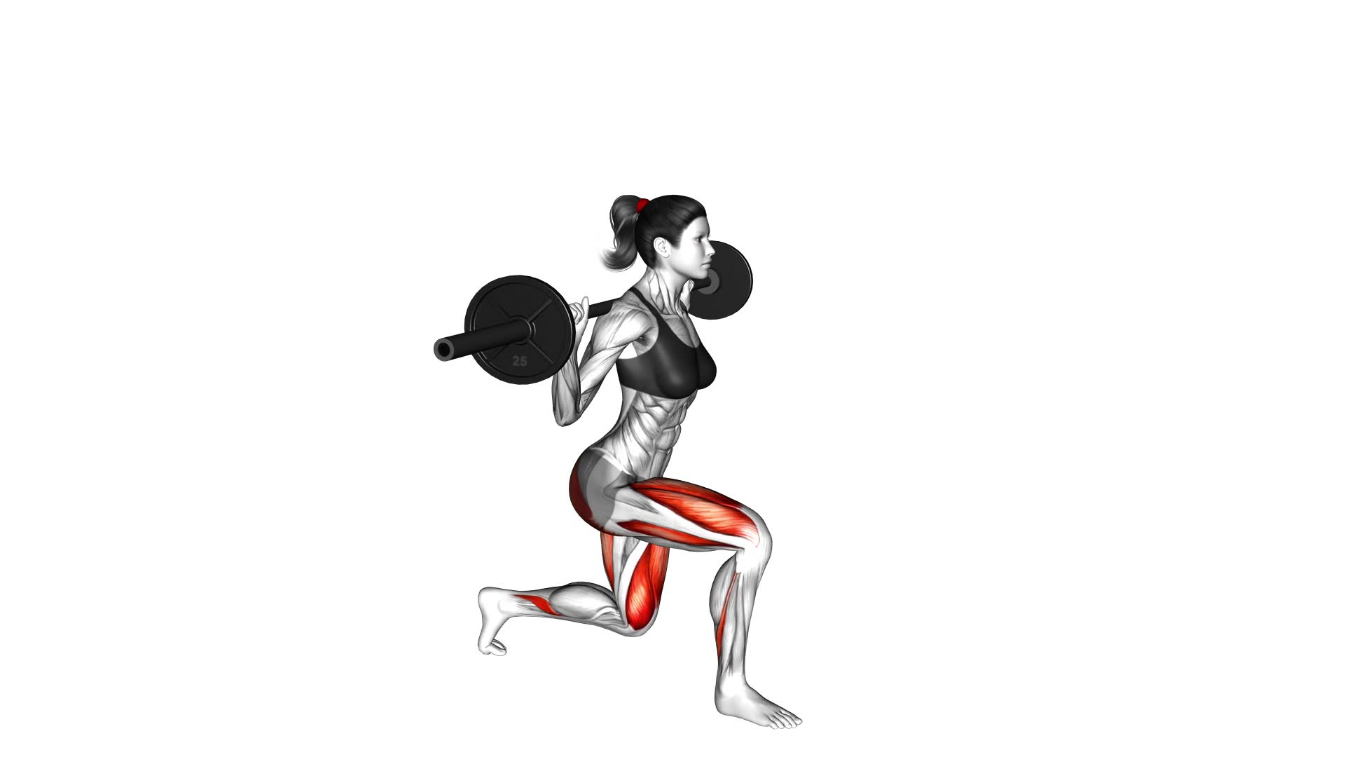 Barbell Rear Lunge (female) - Video Exercise Guide & Tips