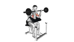 Barbell Reverse Preacher Curl - Video Exercise Guide & Tips