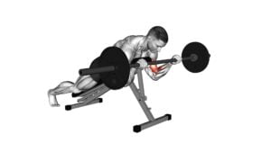 Barbell Reverse Spider Curl - Video Exercise Guide & Tips