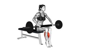 Barbell Seated Calf Raise (female) - Video Exercise Guide & Tips