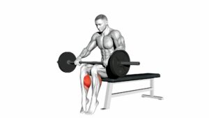 Barbell Seated Calf Raise - Video Exercise Guide & Tips