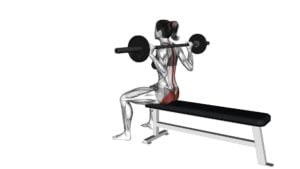 Barbell Seated Good Morning (female) - Video Exercise Guide & Tips