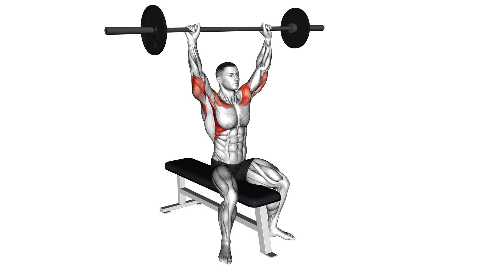 Barbell Seated Overhead Press - Video Exercise Guide & Tips