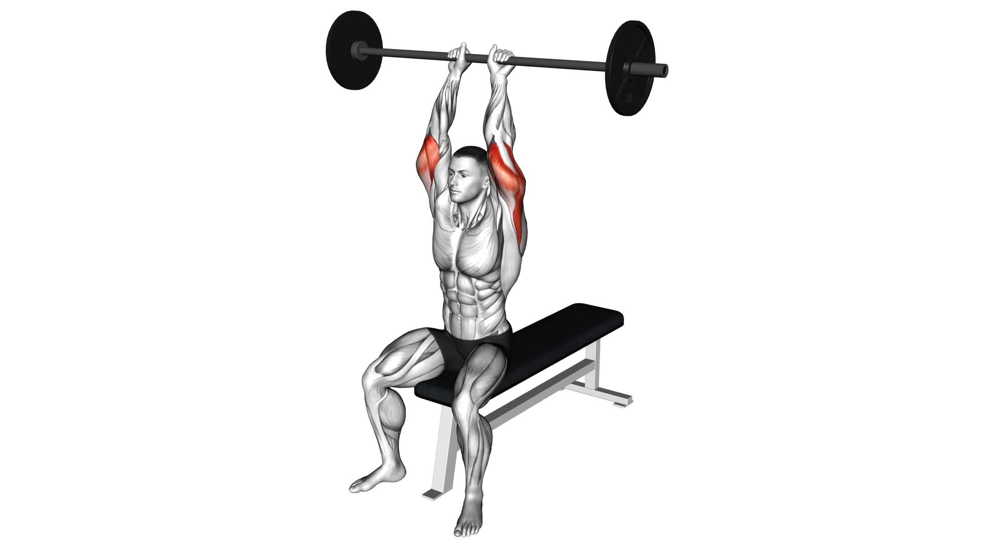 Barbell Seated Overhead Triceps Extension - Video Exercise Guide & Tips