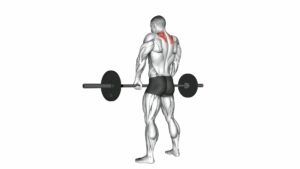 Barbell Shrug - Video Exercise Guide & Tips