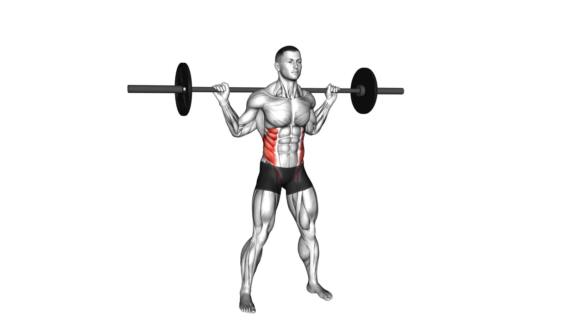 Barbell Side Bent (version 2) - Video Exercise Guide & Tips