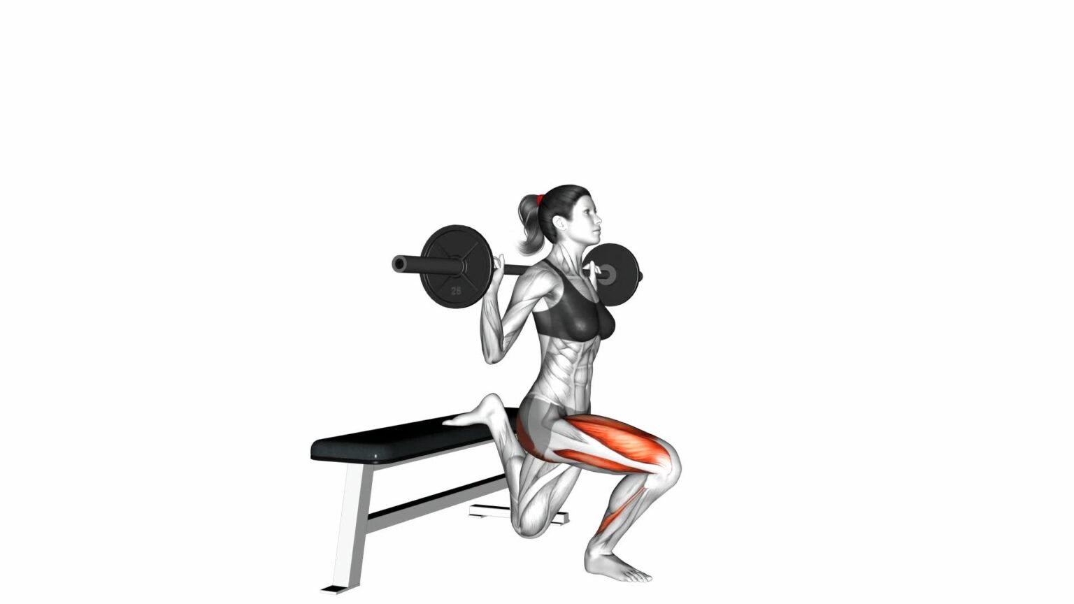 Arm Leg Lift To Split Squat: Female Video Guide & Tips