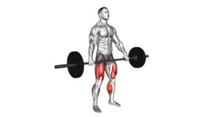 Barbell Snatch Deadlift - Video Exercise Guide & Tips