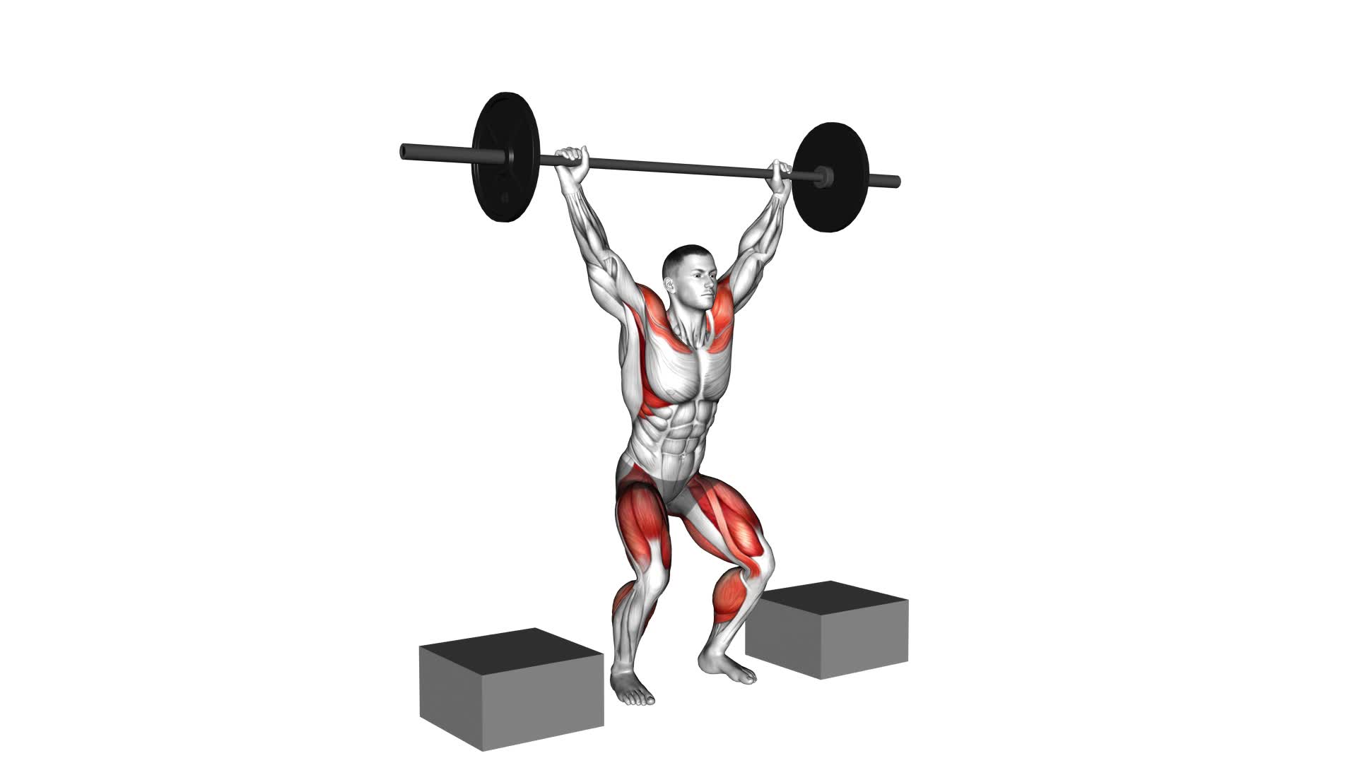 Barbell Snatch From Blocks - Video Exercise Guide & Tips