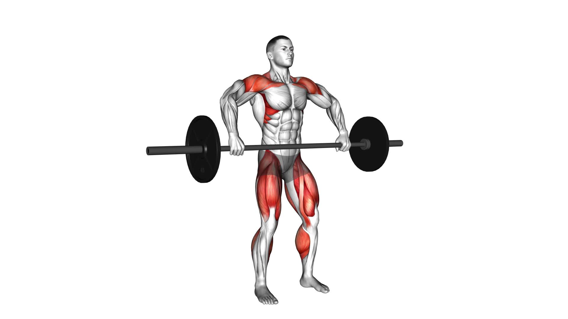 Barbell Snatch Pull - Video Exercise Guide & Tips
