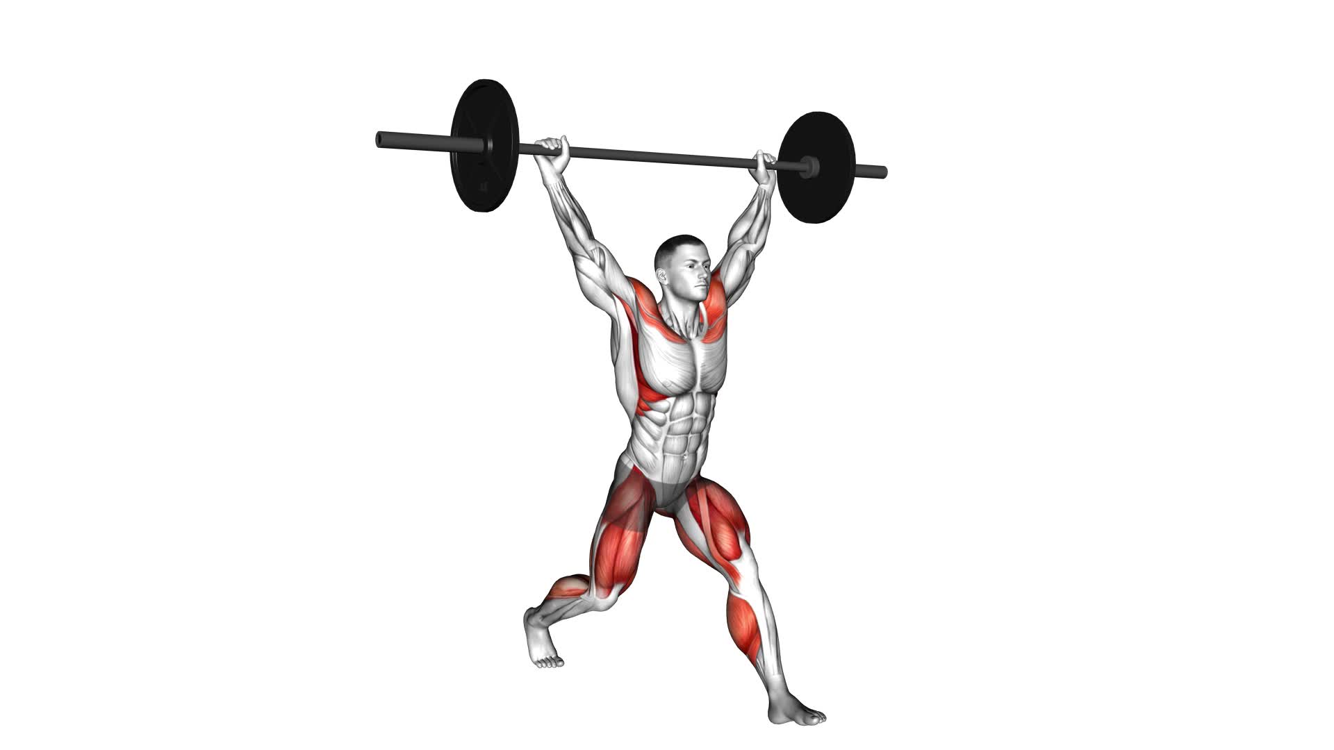 Barbell Split Snatch - Video Exercise Guide & Tips