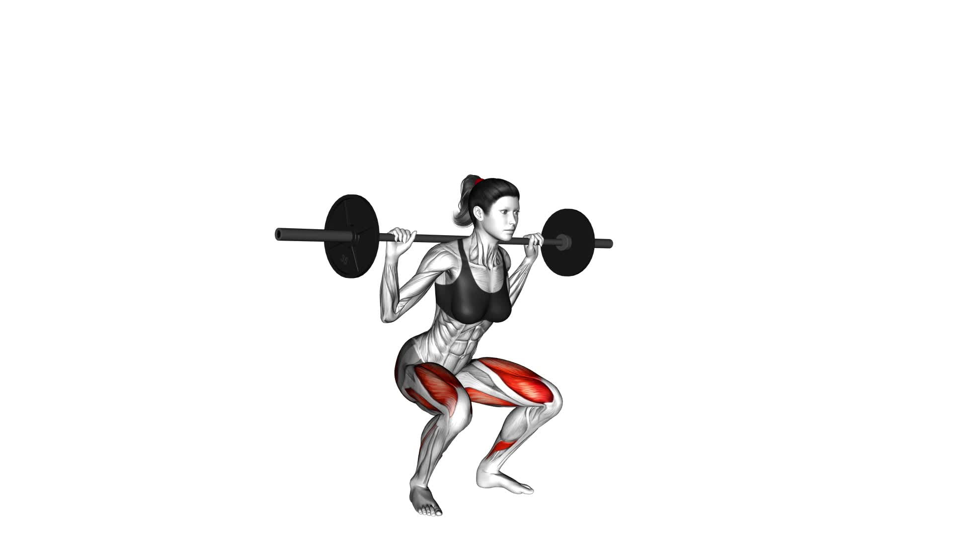 Barbell Squat (female) - Video Exercise Guide & Tips