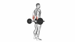 Barbell Standing Back Wrist Curl - Video Exercise Guide & Tips