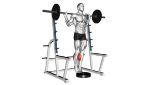 Barbell Standing Calf Raise - Video Exercise Guide & Tips