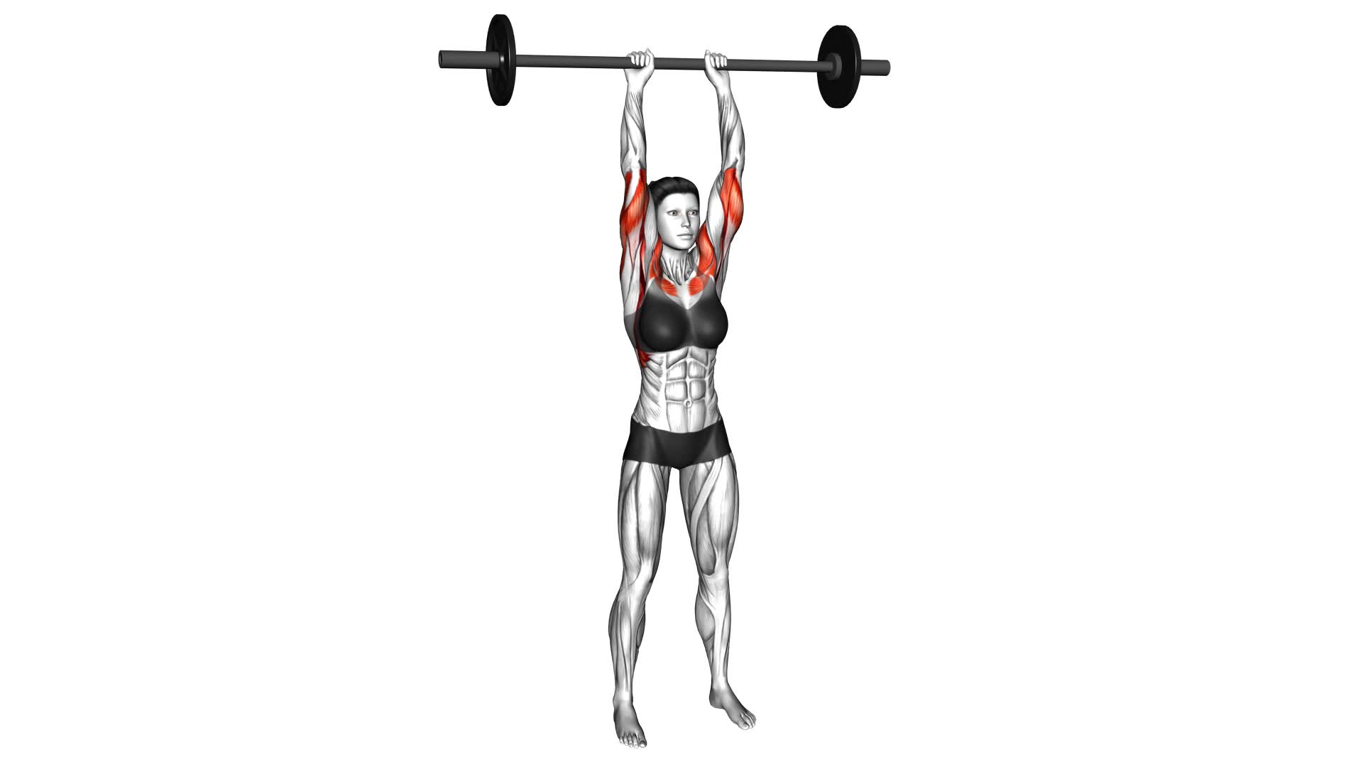 Barbell Standing Close Grip Military Press (female) - Video Exercise Guide & Tips