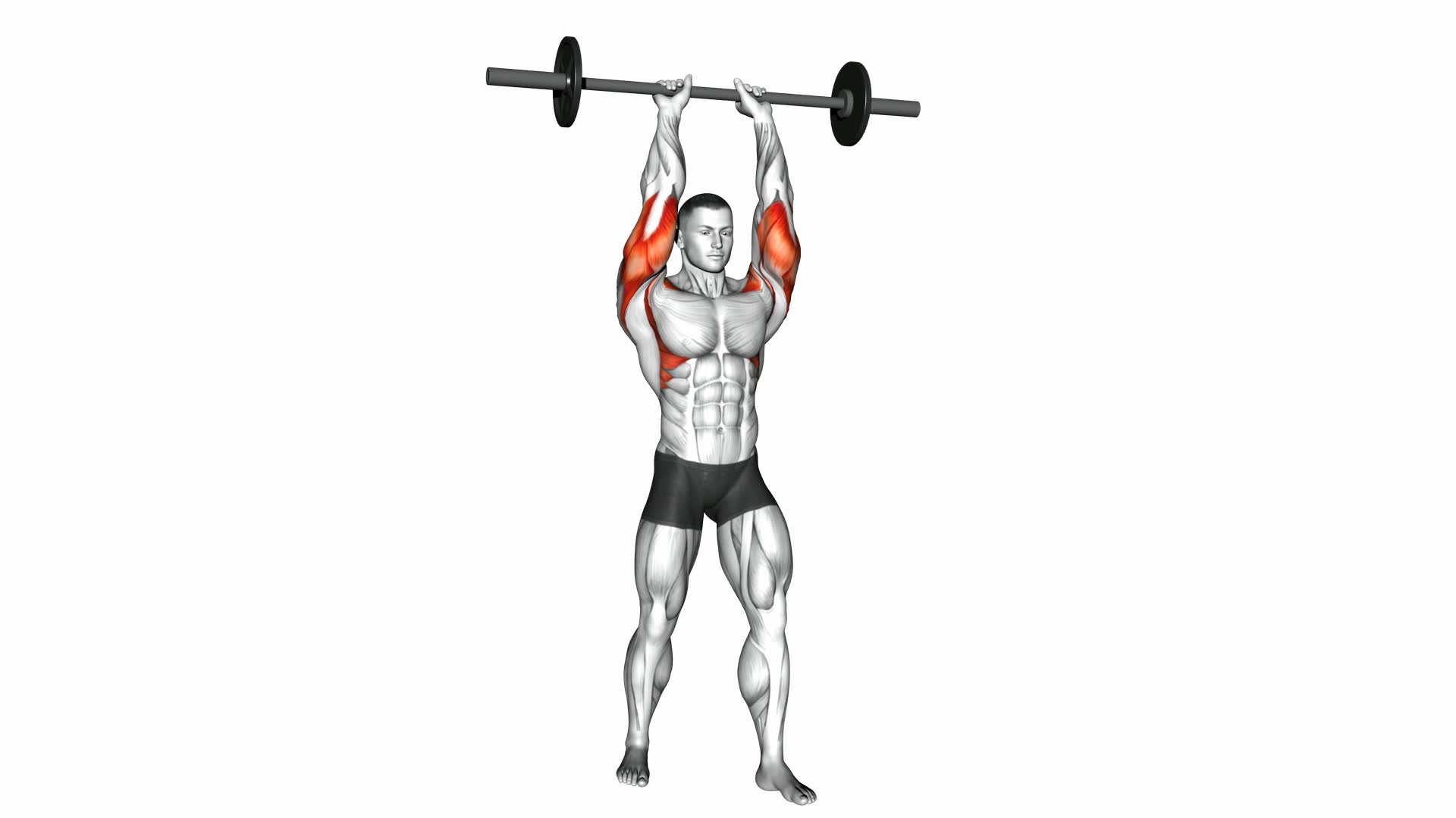 Barbell Standing Close Grip Military Press - Video Exercise Guide & Tips