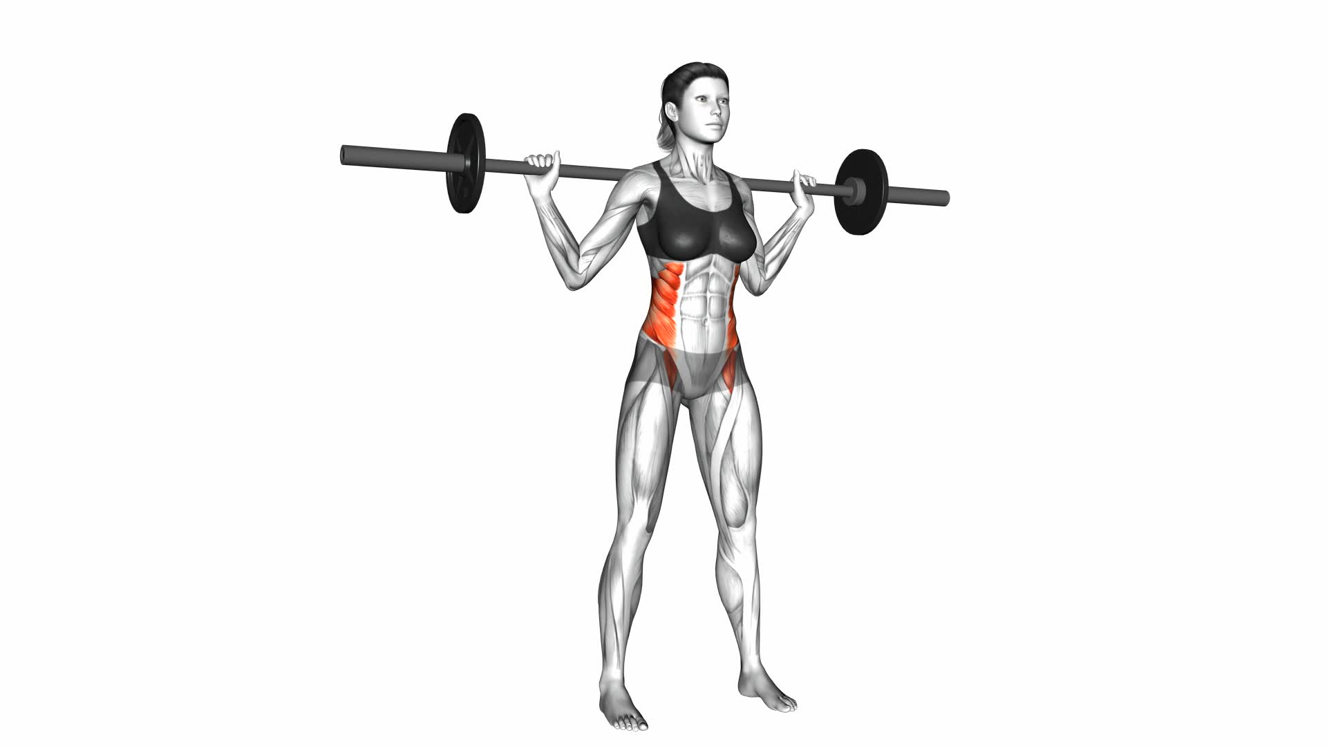 Barbell Standing Twist (female) - Video Exercise Guide & Tips