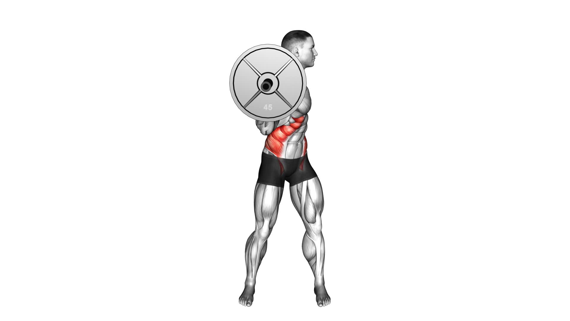 Barbell Standing Twist - Video Exercise Guide & Tips